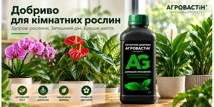 Добриво для кімнатних рослин: яке вибрати та як правильно підживлювати